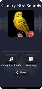 Canary Bird Sounds screenshot 3