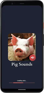 Pig Sounds screenshot 0