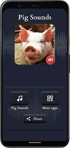 Pig Sounds screenshot 1