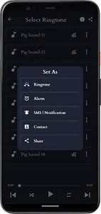 Pig Sounds screenshot 3