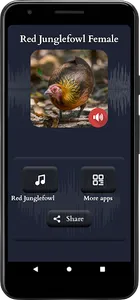 Red Junglefowl Female Sounds screenshot 1