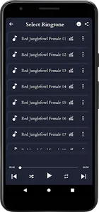 Red Junglefowl Female Sounds screenshot 3