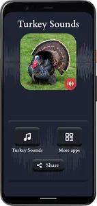 Turkey Sounds screenshot 0