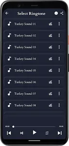 Turkey Sounds screenshot 1