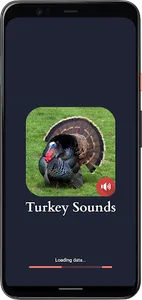 Turkey Sounds screenshot 3