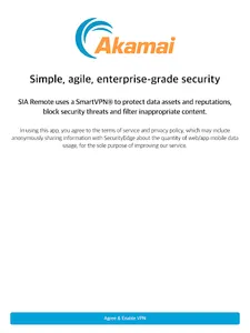 Secure Internet Access Remote screenshot 3