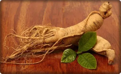 ginseng cultivation in pots screenshot 10