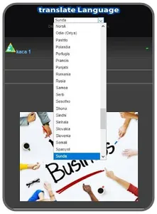 Business Tricks at Home screenshot 6
