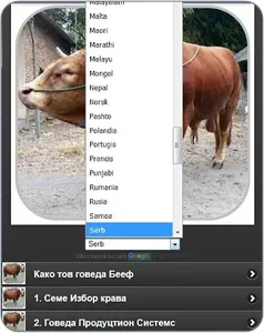 steps to fatten cows screenshot 23