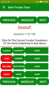 Best Yoruba Tutor screenshot 6