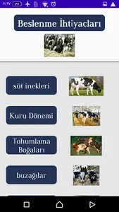 sığır/kanatlı yem karışımı (fr screenshot 20