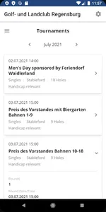 Regensburg screenshot 2
