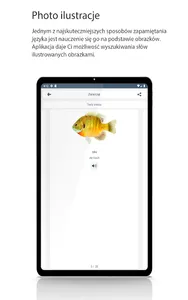 Naucz się niemieckiego screenshot 10