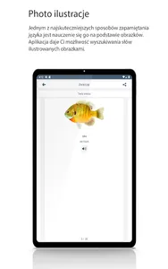 Naucz się niemieckiego screenshot 14