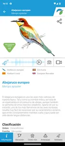 Aves de España screenshot 2
