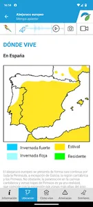 Aves de España screenshot 3
