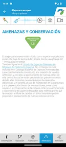 Aves de España screenshot 4