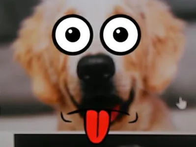 Let's Face It !-) screenshot 11