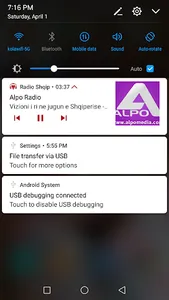 Radio Shqip - Albanian Radio screenshot 5