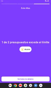 Exptrack: Control de gastos screenshot 14