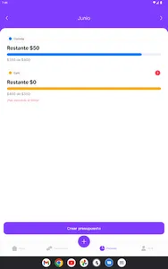 Exptrack: Control de gastos screenshot 19