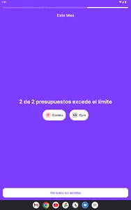 Exptrack: Control de gastos screenshot 22