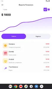 Exptrack: Control de gastos screenshot 8
