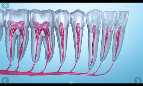 Dental 3D Illustrations screenshot 17