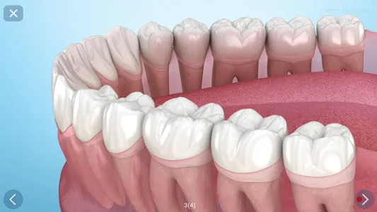 Dental 3D Illustrations screenshot 22