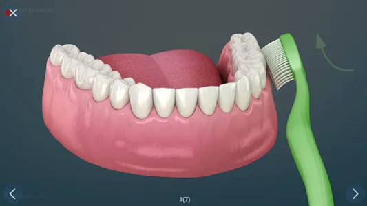 Dental 3D Illustrations screenshot 26