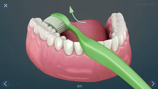 Dental 3D Illustrations screenshot 27