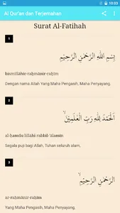 Al Quran MP3 30 Offline - Mp3  screenshot 4