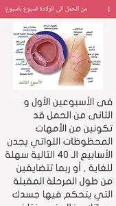 مراحل الحمل أسبوع بأسبوع screenshot 3