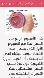 مراحل الحمل أسبوع بأسبوع screenshot 5