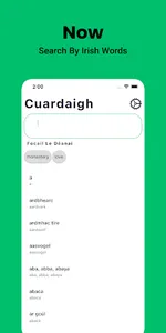 Irish Dictionary English screenshot 5