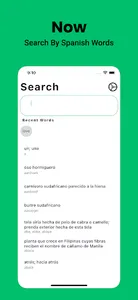 Spanish Dictionary English screenshot 5
