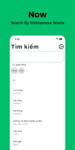 Vietnamese Dictionary English screenshot 5