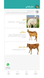الكادي screenshot 7