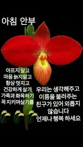 좋은 아침과 좋은 밤 이미지 screenshot 5