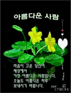 좋은 아침과 좋은 밤 이미지 screenshot 6