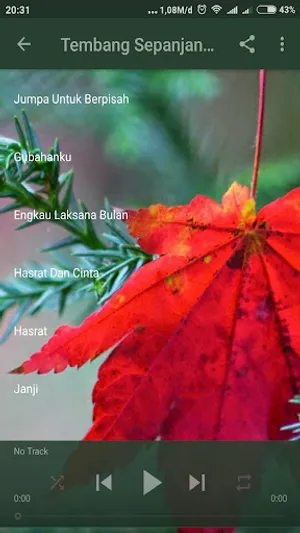 Lagu Kenangan Sepanjang Masa screenshot 3