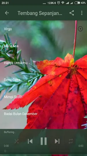 Lagu Kenangan Sepanjang Masa screenshot 5