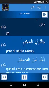 Surah Yaseen Turkish screenshot 0