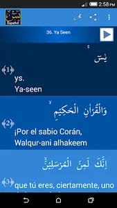 Surah Yaseen Turkish screenshot 1