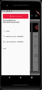 Data Ciclos screenshot 2