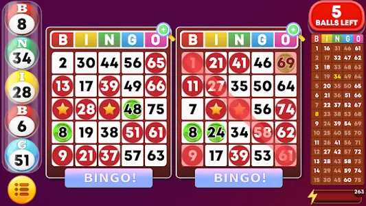 Bingo - Offline Bingo Games screenshot 16