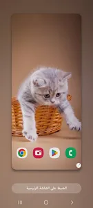 Wallpapers Cat (2) 4k 2023 screenshot 2