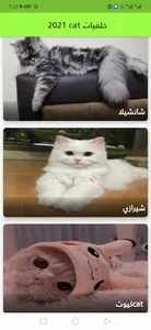‎2021 ‏cat خلفيات ‏ screenshot 0