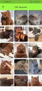 ‎2021 ‏cat خلفيات ‏ screenshot 3