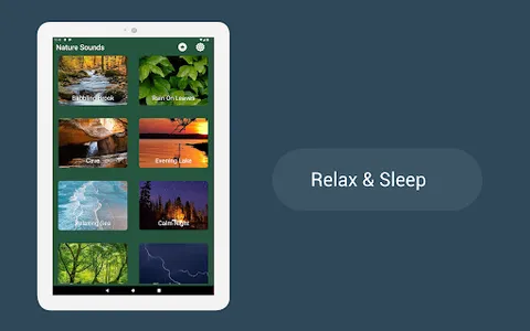 Nature Sounds : Calming Sleep screenshot 8